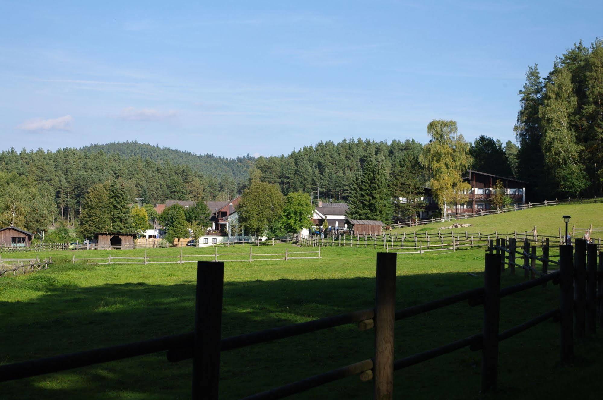 Waldhotel Bächlein Mitwitz Exterior foto